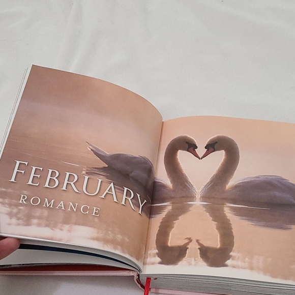 Daily Love Book - Picture 7 of 12